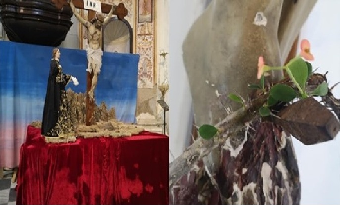 Itali, nxjerr lule kurora me gjëmba në këmbët e Krishtit, prifti: Sinjal shprese ndaj koronavirusit