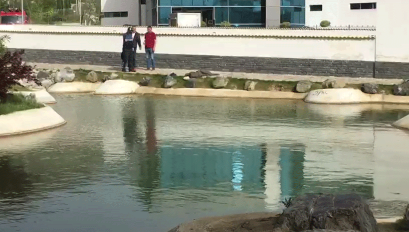 Mbytet femija ne Korce, policia jep detajet