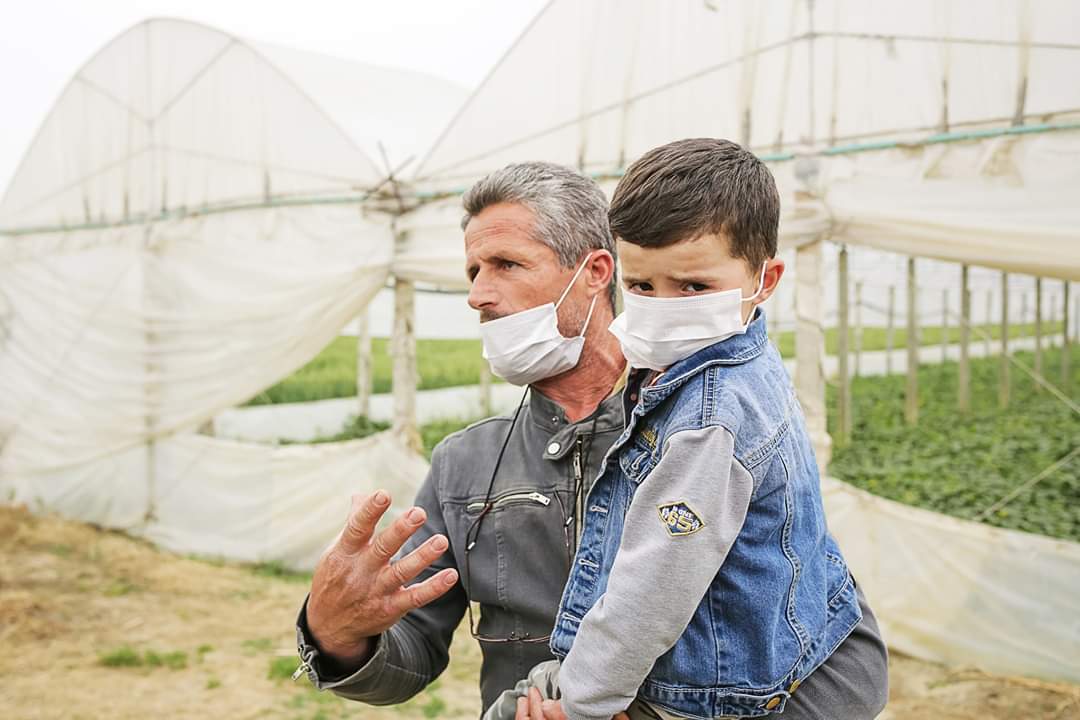 Basha vijon takimet: Produktet e fermerëve në Divjakë po groposen, Ramavirusi po i rrënon