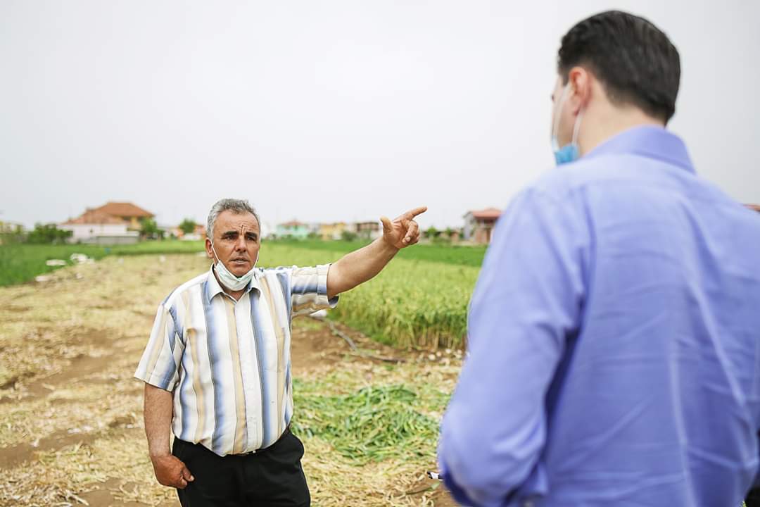 Basha vijon takimet: Produktet e fermerëve në Divjakë po groposen, Ramavirusi po i rrënon