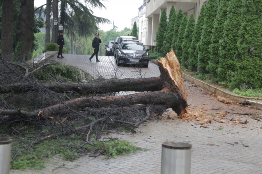 FOTOLAJM/Pisha tek Kryeministria, për pak sa nuk shkaktoi një tragjedi