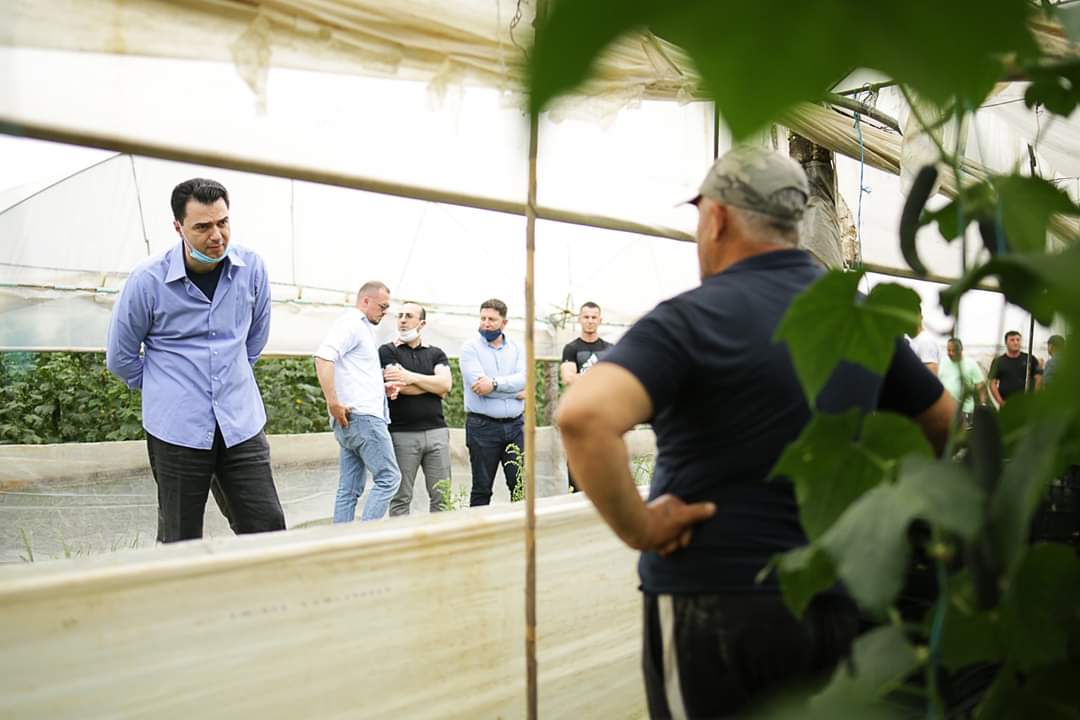 Basha vijon takimet: Produktet e fermerëve në Divjakë po groposen, Ramavirusi po i rrënon