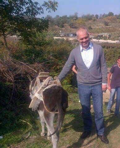 IRONIA/Paloka i përgjigjet Ramës: “Si ajo shprehja, të kesh dy …, që një ta mbash e një ta çashë…”