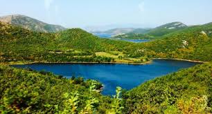 Shkarkohet komisari i policise ne Vaun e Dejes