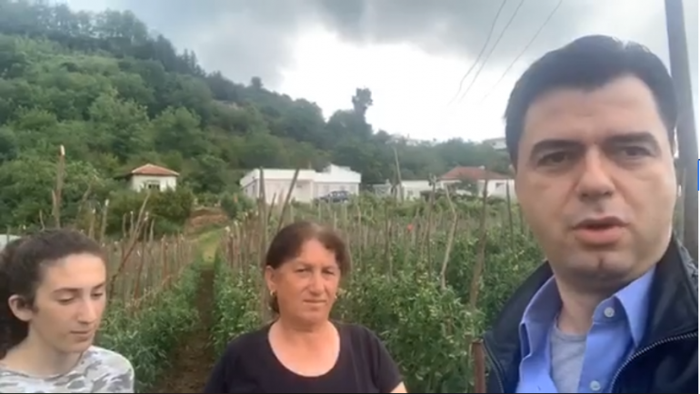 Basha zbulon analizën e PD: Paguan 90 milionë euro për tre muaj, shqiptarët kanë marrë vetëm 10 euro për muaj