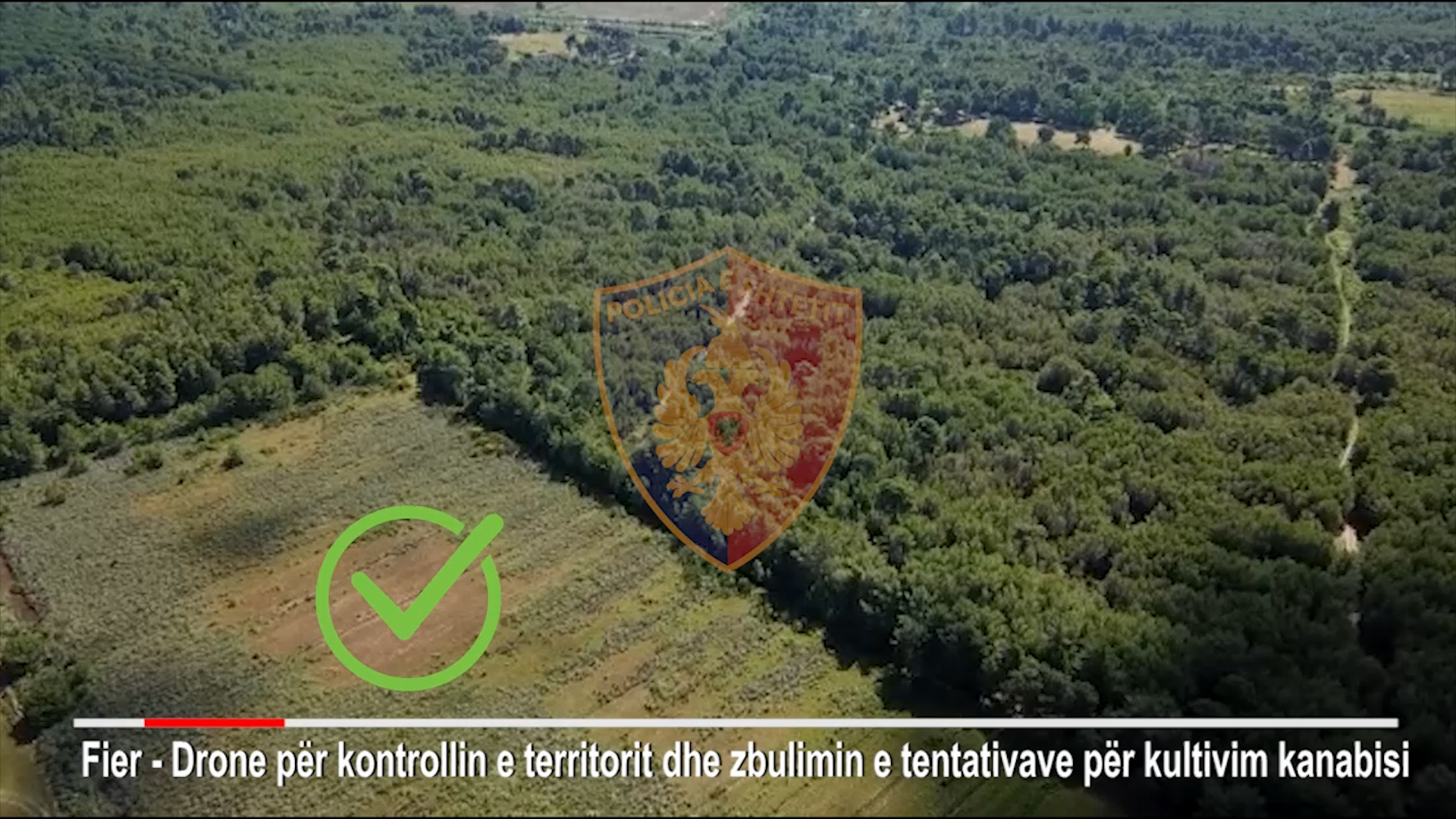 VIDEO/Policia kontrollon me dron për kanabis, bie në gjurmët e një të riu nga Fieri