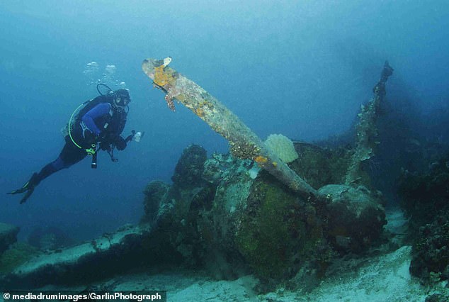 FOTO/Ndodh për herë të parë, ja si studiuesit arrijnë të përdorin wifi nën ujë