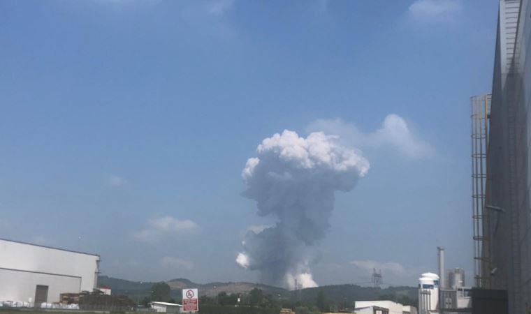 VIDEO/Pamje të frikshme nga shpërthimi i madh në një fabrikë në Turqi