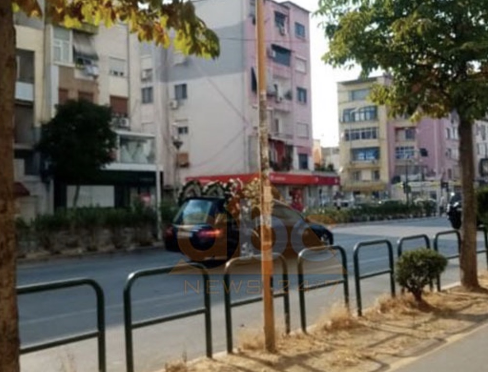 Percillet per ne varreza nena e Kryeministrit Rama, mesazhi i dy vellezerve per ceremonine