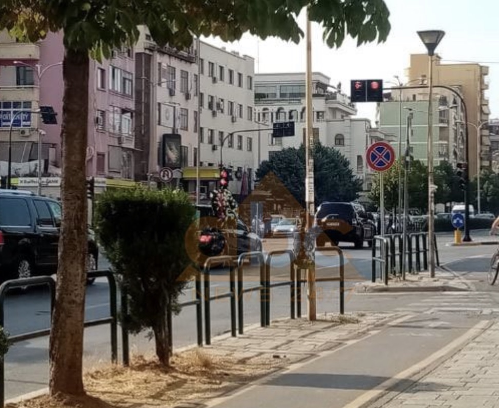 Percillet per ne varreza nena e Kryeministrit Rama, mesazhi i dy vellezerve per ceremonine