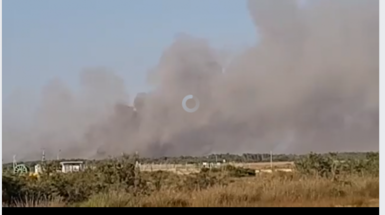 PD nxjerr videon: Pylli i Semanit po digjet me shpejtësi, shteti nuk po reagon