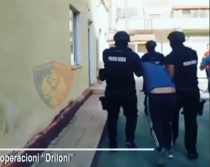 VIDEO/Organizator i sulmit me armë në Tushemisht, kush është ‘Lili i Rrushkës’, u kap nga RENEA në pyll