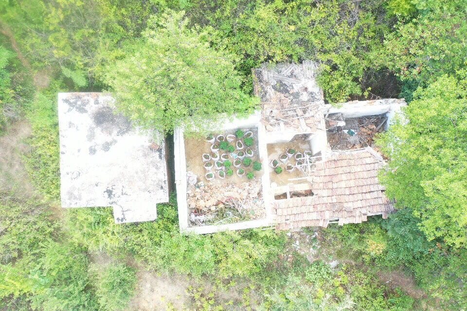 Arrestohet një 50-vjeçar, droni i zbulon parcelën e madhe me drogë