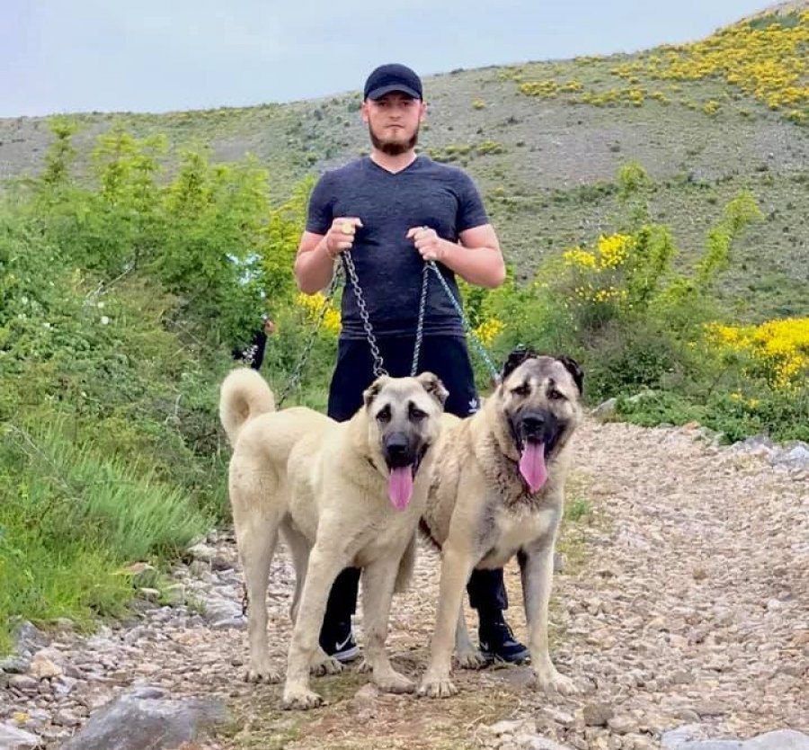 DETAJE/Njëri nga vëllezërit që vranë shokun e tyre, i përfshirë në grupin që rrahu policët me leva hekuri