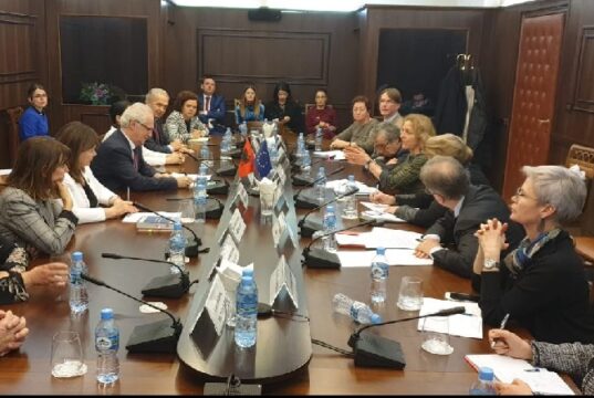 KED zhbllokon proceduren per Kushtetuese, miraton nje emer por rrezon dy