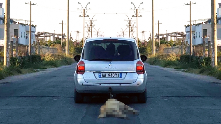 Burri qe terhoqi qenin me karroce nderron jete