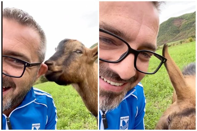 Saimir Tahiri feston ditëlindjen ndersa dhia shytë i kafshon veshin