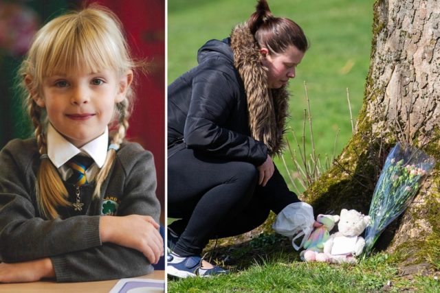 Vrau 7 vjeçaren në park, shqiptarja habit me arsyen