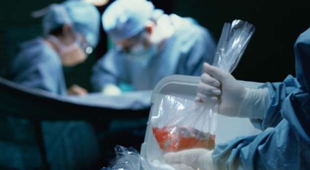 Trafikim mëlçish e veshkash, arrestohen 6 persona midis të cilëve dhe mjekë