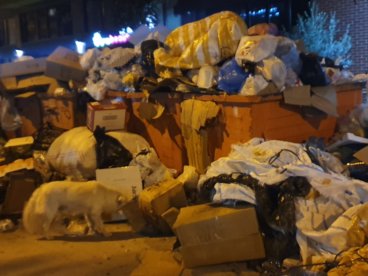 Kazanet e plehrave qelbin rrugët e Tiranës, bashkia lehtëson shpërndarjen e virusit