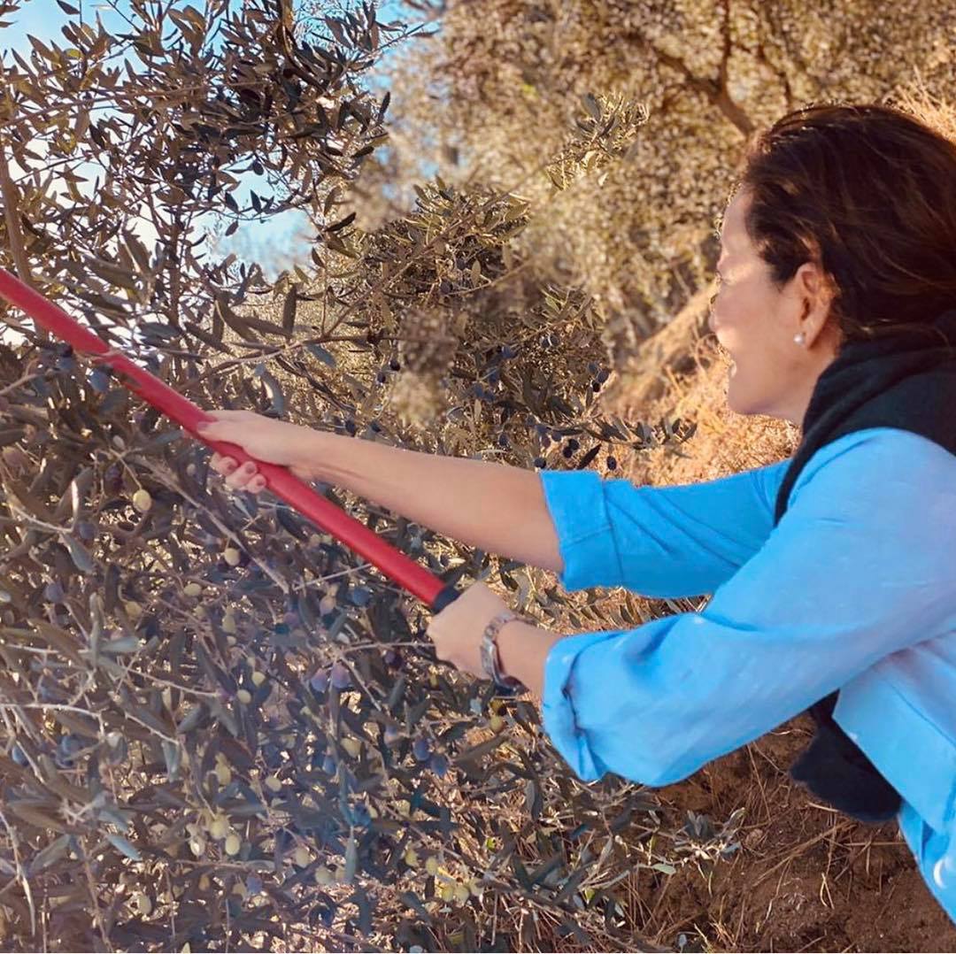 Kim vë gishtin mbi dy arsyet se pse Shqipëria është ende një vend i varfër