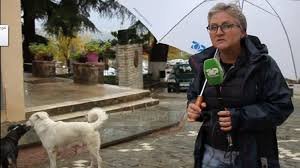 Gjirokastër/ Akti brutal, helmohen qen dhe mace