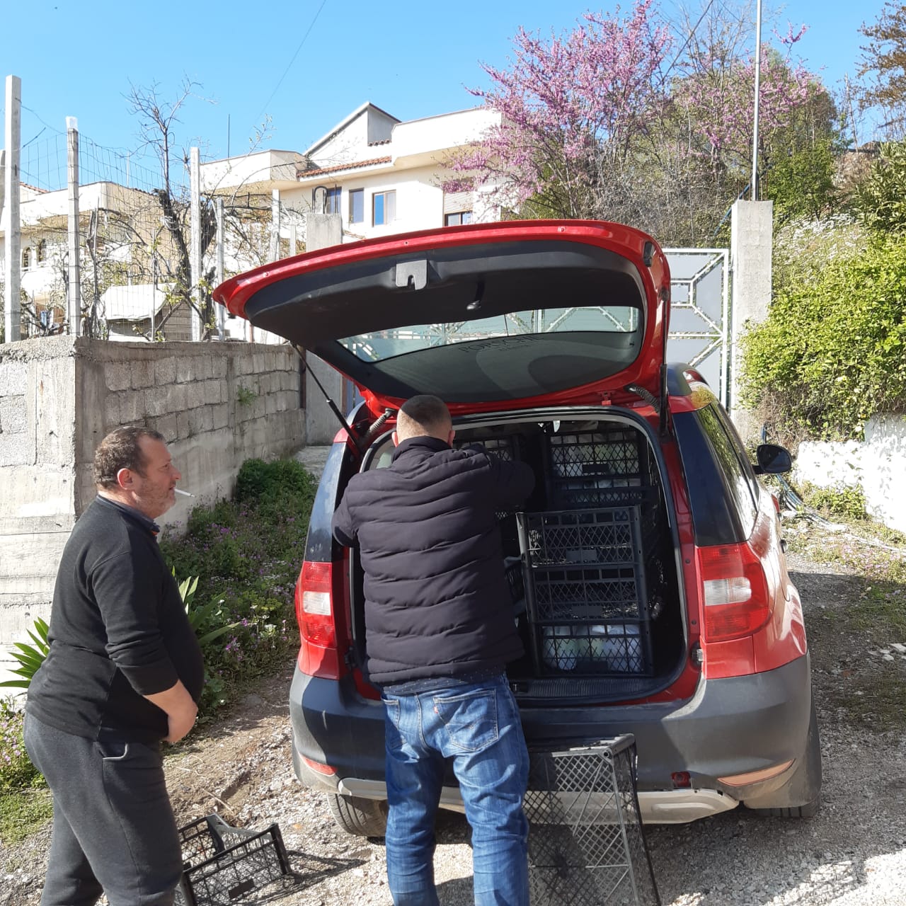 VIDEO/ Belind Këlliçi denoncon: Zyrtarë të bashkisë në Vaqarr po shpërndajnë ushqime për vota