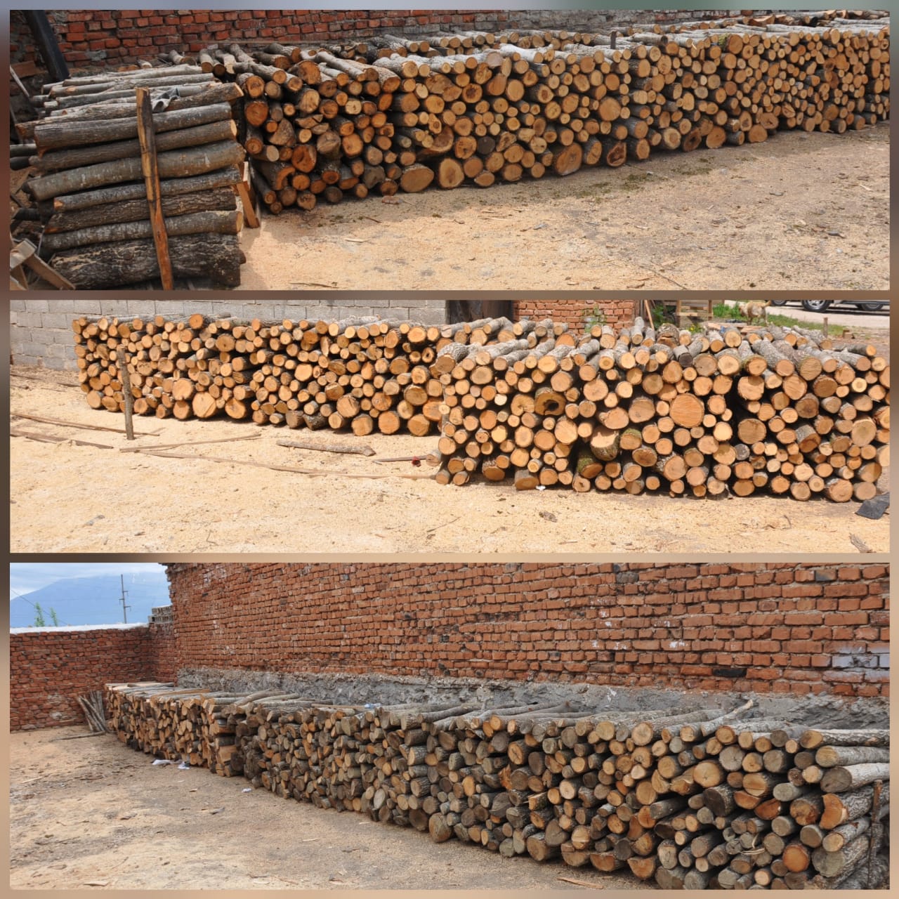 KORÇË/ Policia sekuestron një sasi të madhe dru zjarri, 7 persona procedohen penalisht