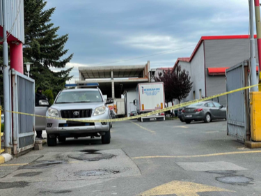 7 të arrestuar për kokainën, kapen para, armë dhe municione