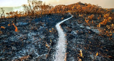 A do të shembet civilizimi ynë brenda këtij shekulli?