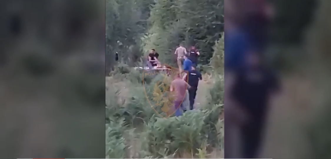 Operacion i papritur në Shkodër, 6 persona më pranga