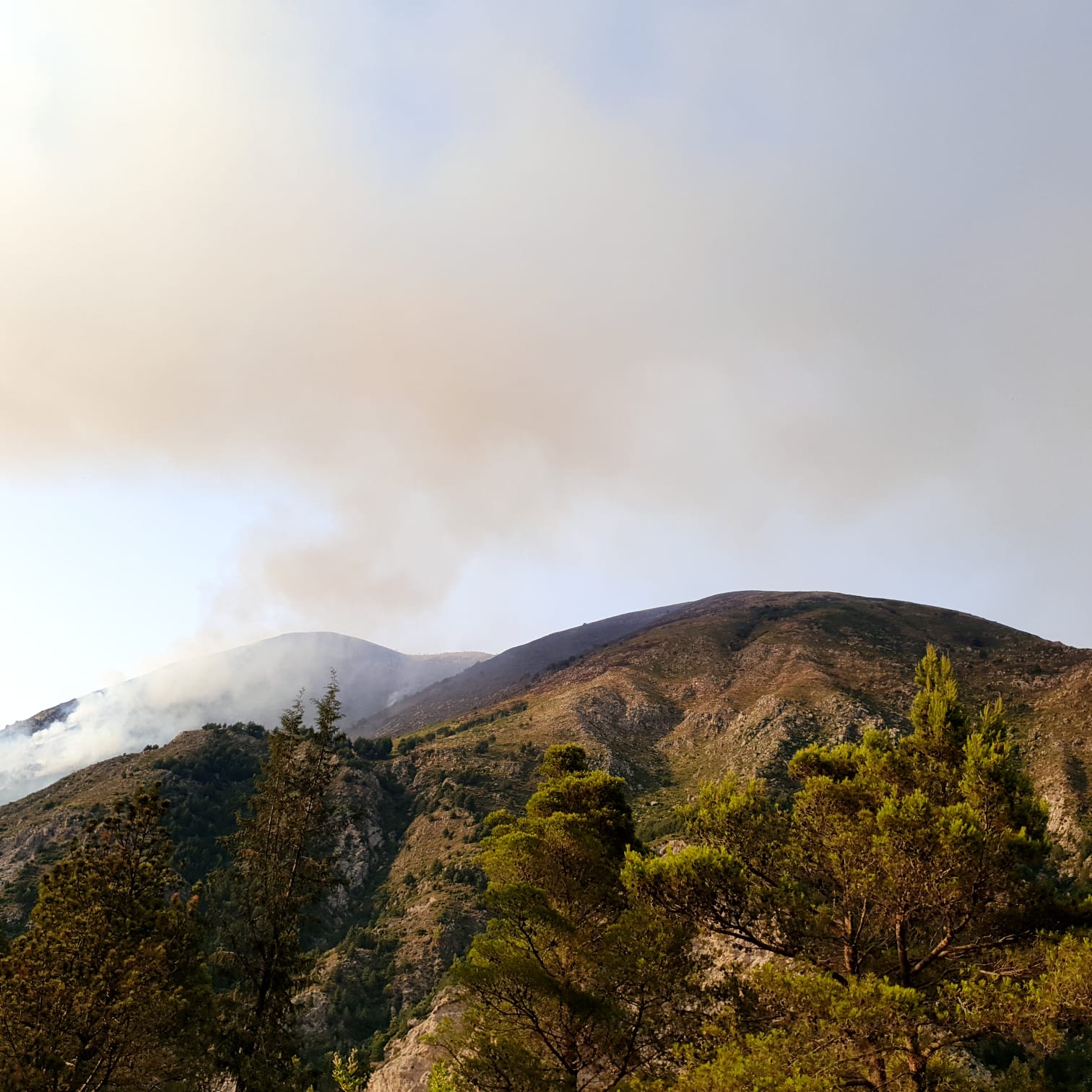 VIDEO&FOTO/ Prej 6 ditësh zjarri po djeg pishat e Dukatit, asnjë ndërhyrje