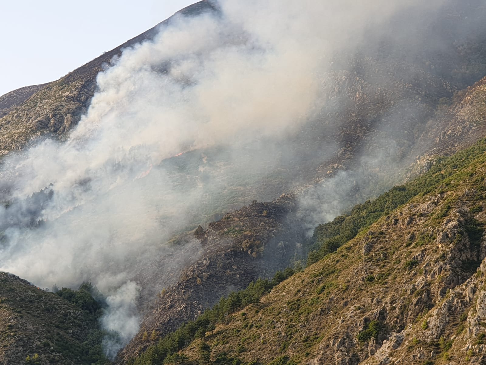 VIDEO&FOTO/ Prej 6 ditësh zjarri po djeg pishat e Dukatit, asnjë ndërhyrje