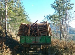 Humb jetën në aksident drejtori, edhe pse u hodh nga makina që ra