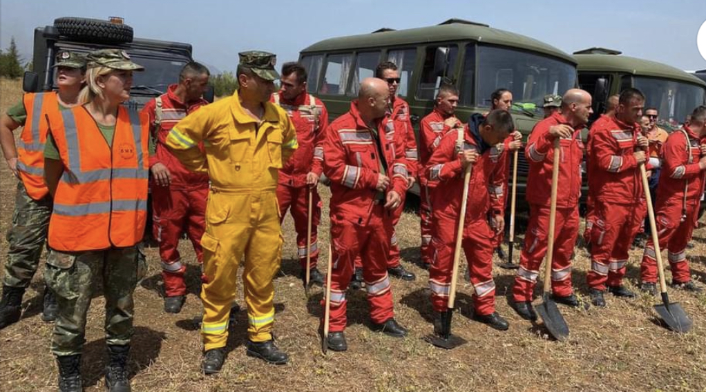 14 ditë Vlora nën zjarr, Selenica bën bilancin, bagëtitë kanë migruar në fshatra të tjera nga frika e zjarrit