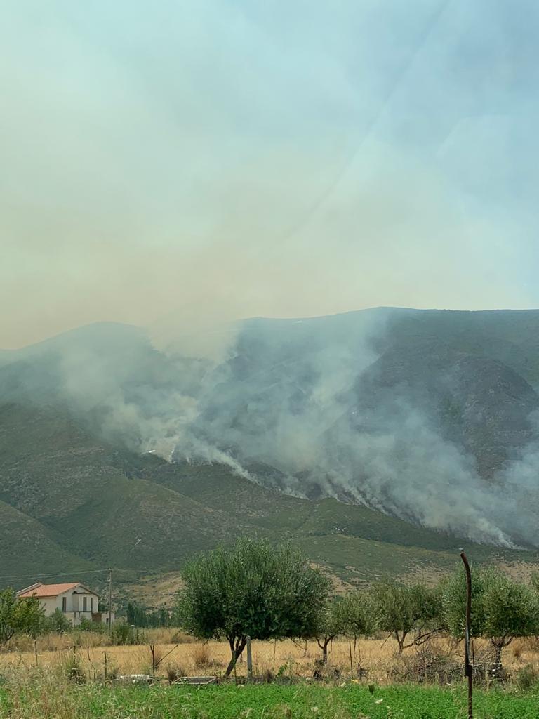 14 ditë Vlora nën zjarr, Selenica bën bilancin, bagëtitë kanë migruar në fshatra të tjera nga frika e zjarrit