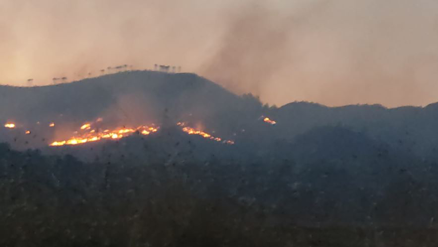 Merr flakë mali i Shëngjinit, zjarri u afrohet shtëpive, rrezik izolimi për pushuesit të Rana e Hedhun