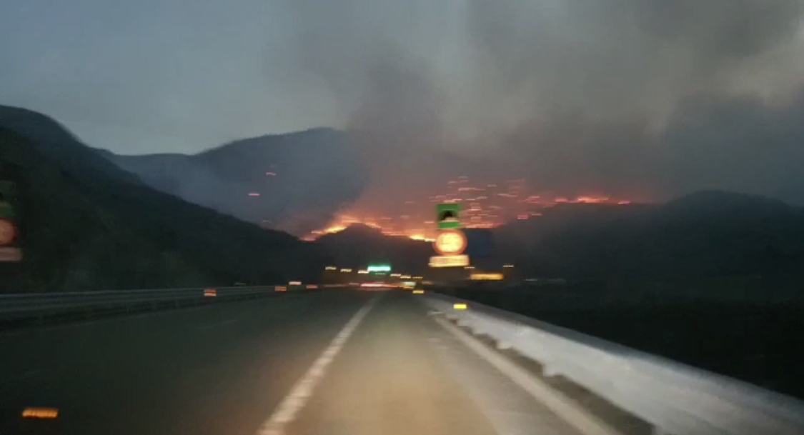VIDEO/ Kalimashi u la katër ditë në flakë deri sa te trau nuk dukeshin paratë e taksës