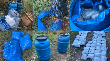 Kanabis dhe armë në Krujë, kapen armatime. Kryeplaku kultivues narkotikësh