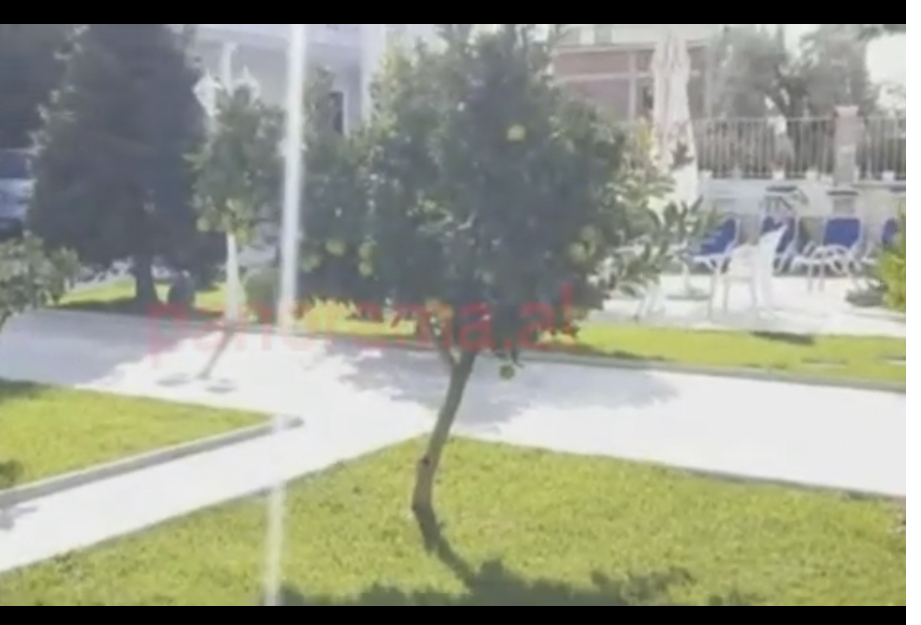 Vajza e biznesmenit rrëfen orët e tmerrit me 10 hajdutë në shtëpi