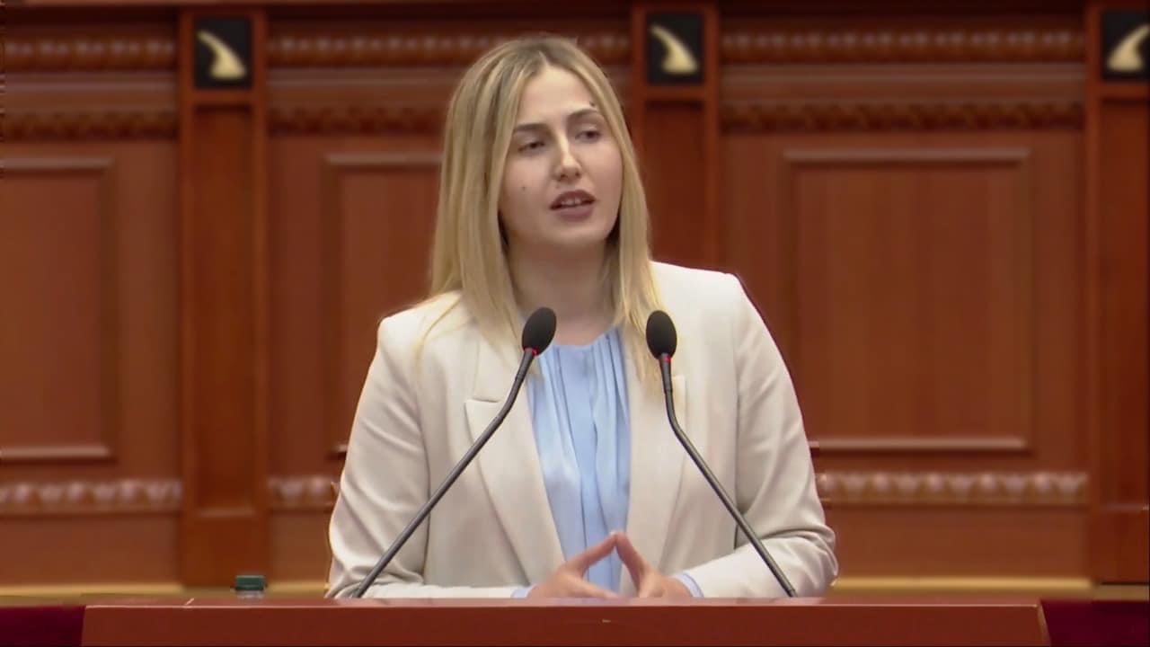 Shkrirja e gjykatave ne Jug, Ina Zhupa: Qeveria te terhiqet. Shton kostot per qytetaret