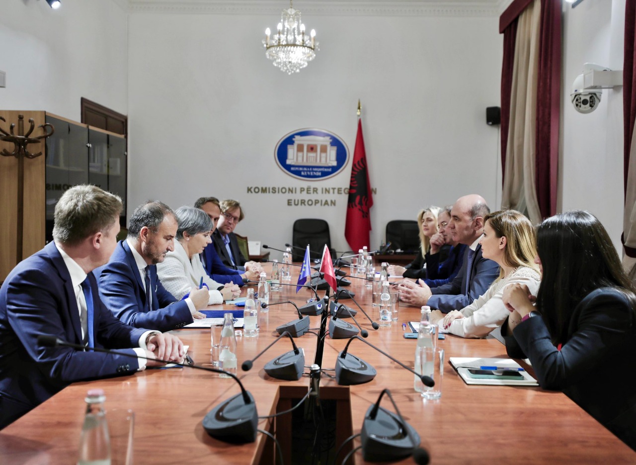 “Në Shqipëri mungon sundimi i ligjit”, përfaqësuesit e PD takohen me raporteren për Shqipërinë në PE