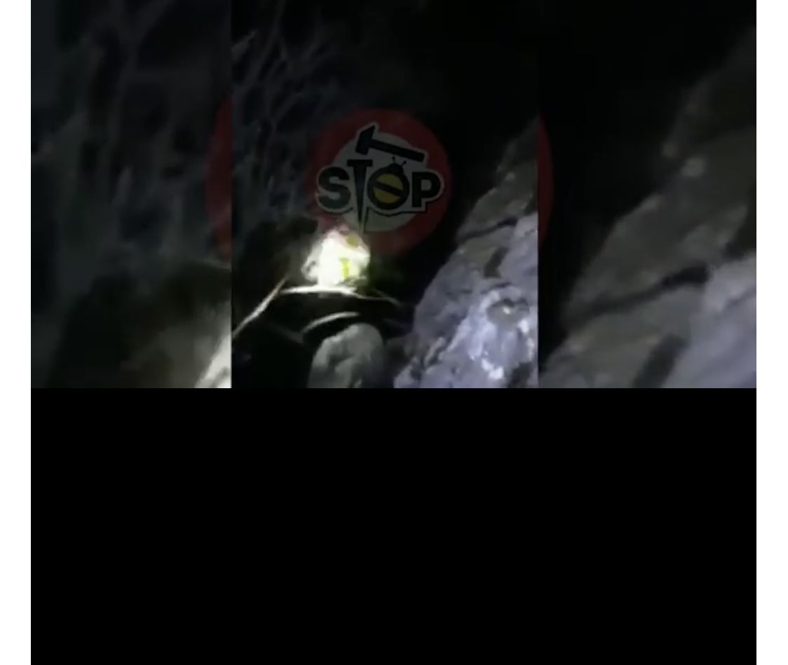 Zhdukja në shpellë e gruas në Shkodër, policia dy ditë pa nisur kërkimet, çfarë thonë të afërmit