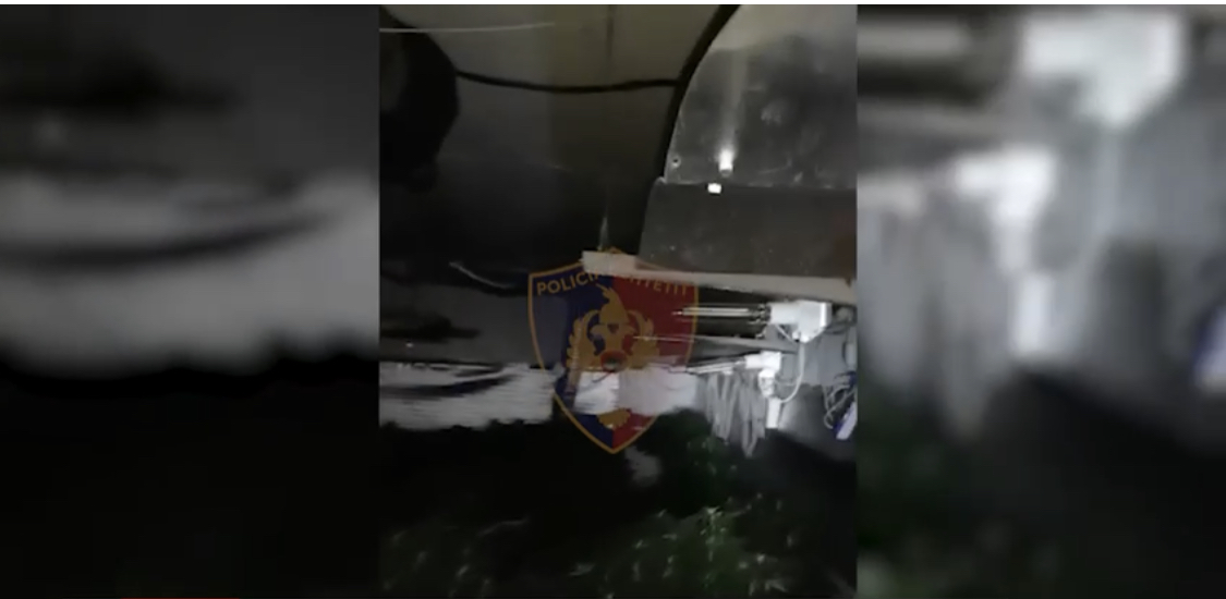 Zbulohet shtëpia e barit në Jeran të Shkodrës, mbi 100 kile kanabis i pjekur