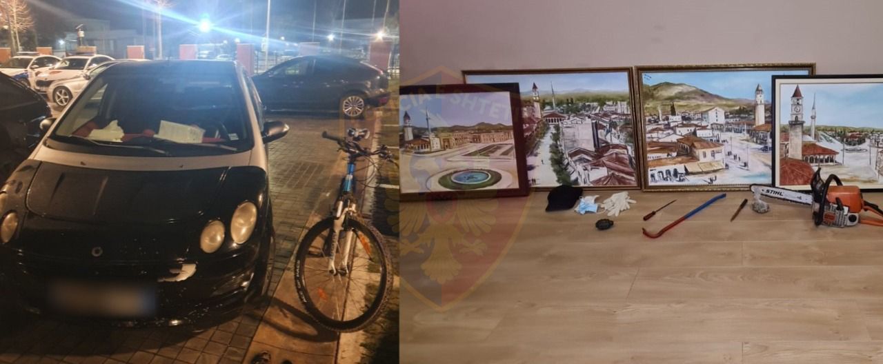 Zbardhen 12 vjedhje biznesesh dhe banesash në Tiranë, 4 në pranga