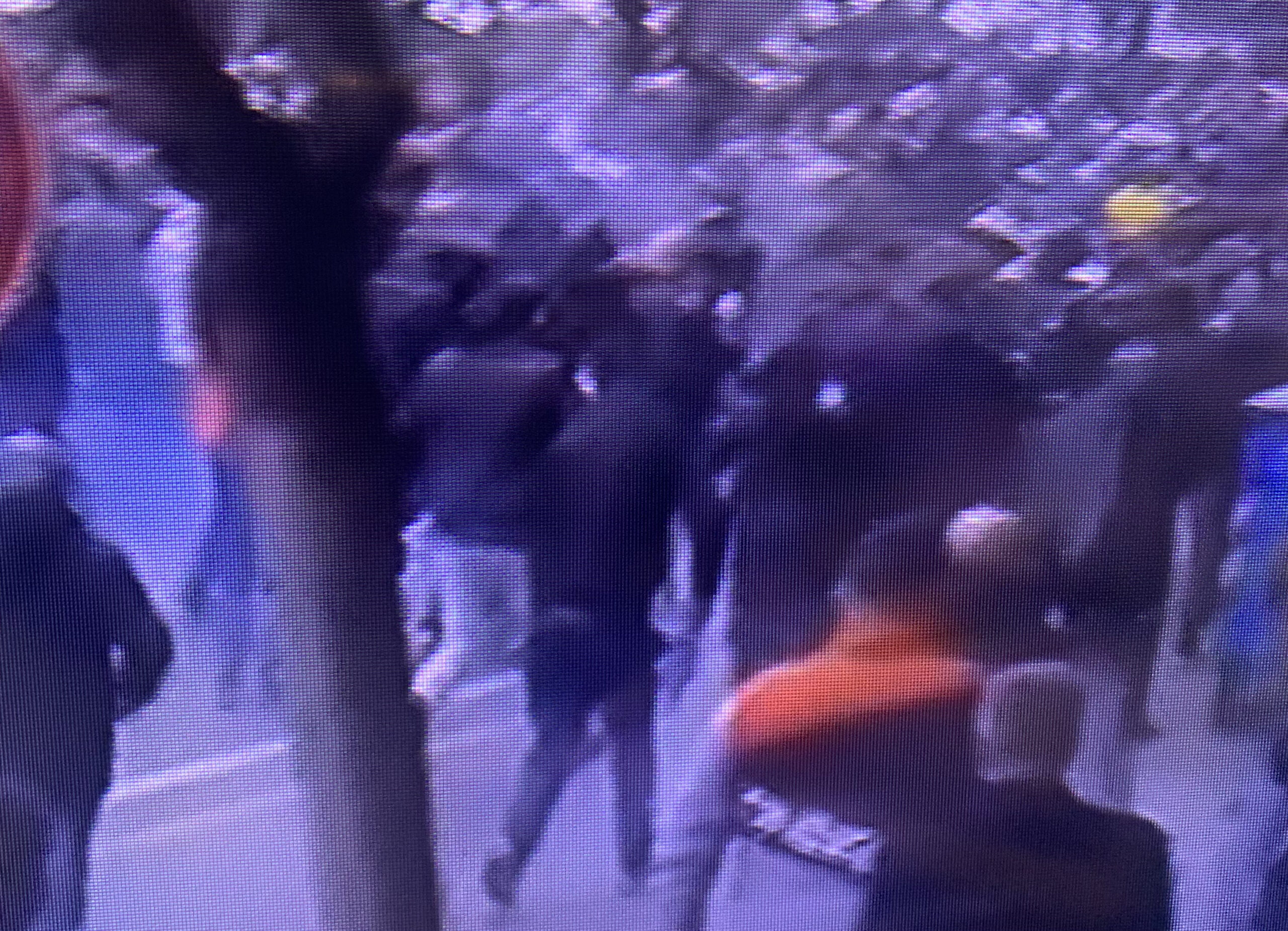 Rama dërgon policinë në ndihmë të mercenarëve të Bashës brenda PD. Gaz lotsjellës dhe bote me ujë