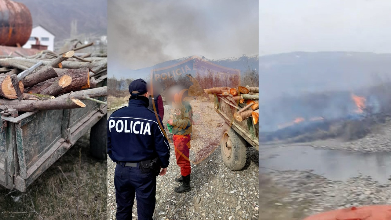 BULQIZË/ Pret pyllin dhe më pas djeg 5 hektarë në shtratin e Drinit të Zi