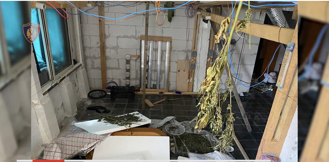 Një bujtinë për kanabis në Valbonë të Tropojës, policia i vihet pas pronarit