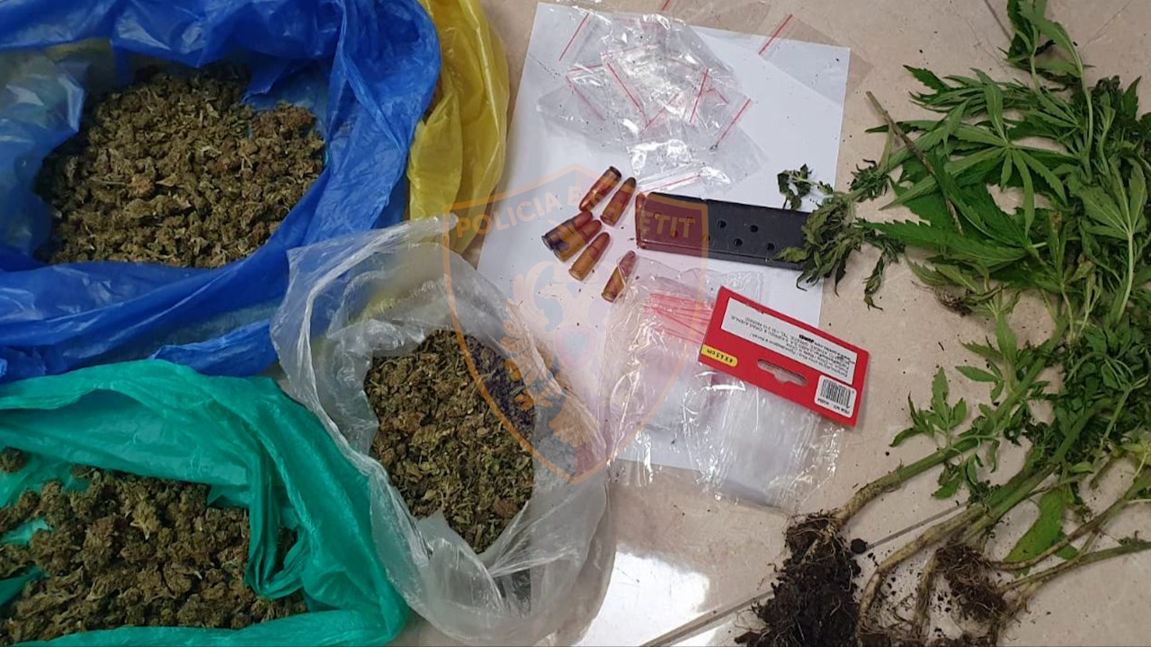Tiranë, gjithë familja e përfshirë në biznesin e kanabisit, detajet e policisë