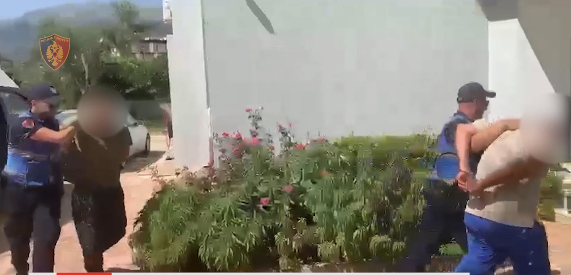 Kanabis dhe turizëm në Vuno, kapet jeshilja në parcelë dhe në tharje